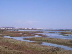 Bay of Cádiz httpsuploadwikimediaorgwikipediacommonsthu
