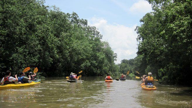 Bayou Teche packpaddlecomwpcontentuploads201301bayoute