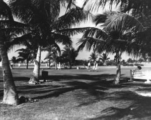 Bayshore (Miami Beach) httpsuploadwikimediaorgwikipediacommonsthu