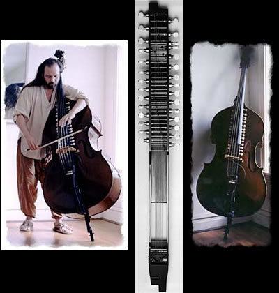 Bazantar Bazantar acoustic bass sitarlike with 29 sympathetic strings and