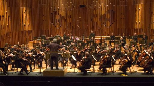 BBC Symphony Orchestra BBC Symphony Orchestra Martin The Symphonies