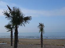 Beach of Durrës httpsuploadwikimediaorgwikipediacommonsthu