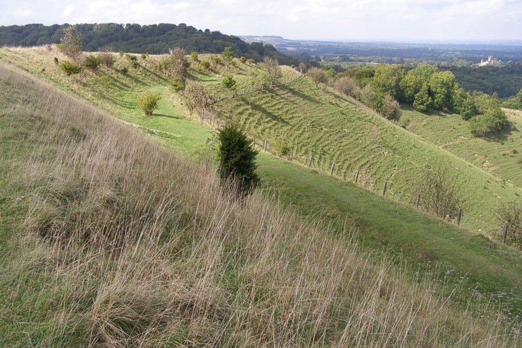 Beacon Hill, Burghclere, Hampshire The Megalithic Portal and Megalith Map