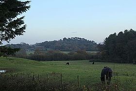 Beacon Hill, Dorset httpsuploadwikimediaorgwikipediacommonsthu