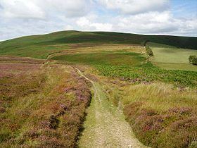 Beacon Hill, Powys httpsuploadwikimediaorgwikipediacommonsthu