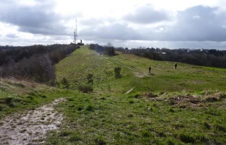 Beacon Hill, Sedgley Wildlife Trust project uncovers evidence of early Black Country