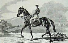 Beadsman (horse) - Alchetron, The Free Social Encyclopedia
