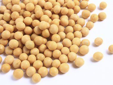 Bean 5 Health Benefits of Beans and 5 Surprising Risks Reader39s Digest