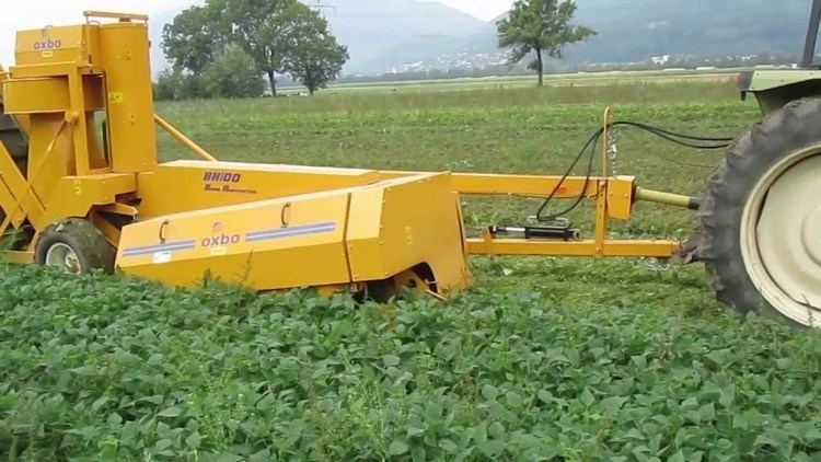 Bean harvester Sweere One row bean harvester Oxbo BH100 YouTube