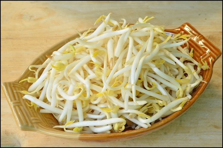 Bean sprout Fun Facts of Bean Sprouts Serving Joy Inspire Through Sharing