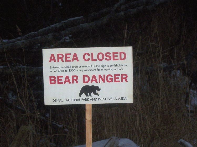 Bear danger