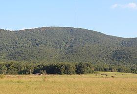 Bear Mountain (Georgia) httpsuploadwikimediaorgwikipediacommonsthu