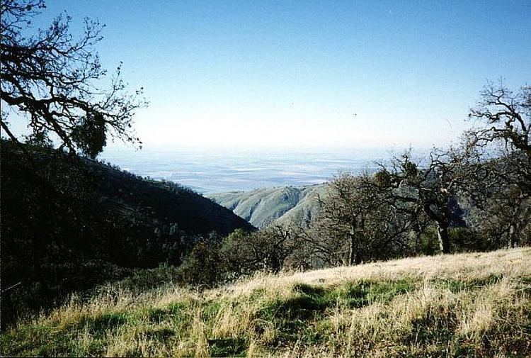 Bear Mountain (Kern County, California)