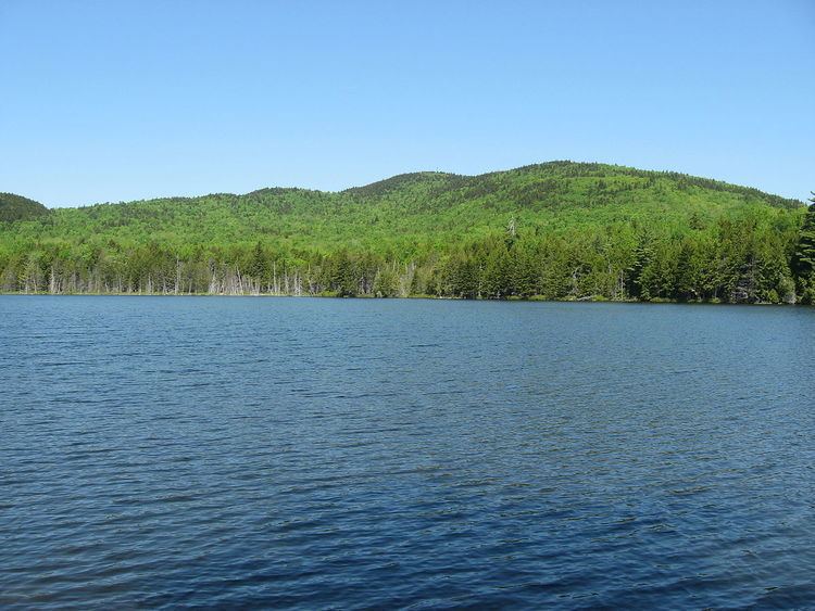 Bear Pond (Hancock County, Maine)