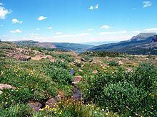 Bear River (Colorado) httpsuploadwikimediaorgwikipediacommonsthu