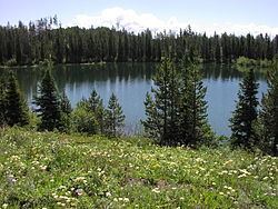 Bearpaw Lake (Teton County, Wyoming) httpsuploadwikimediaorgwikipediacommonsthu