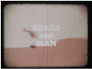 Bears and Man movie poster