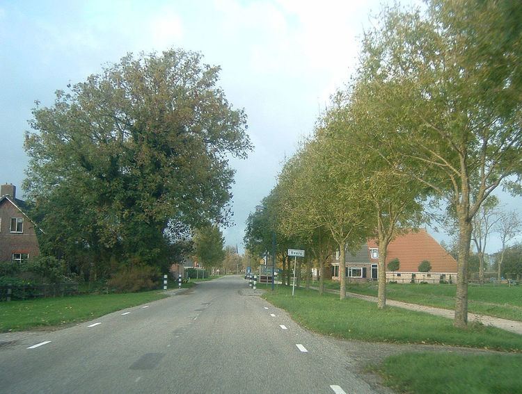 Bears, Friesland