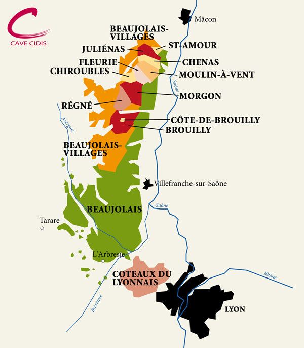 Beaujolais Wine Tasting Vineyards in France A first Beaujolais white by