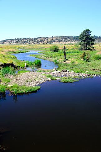 Beaver Creek (Crooked River) - Alchetron, the free social encyclopedia