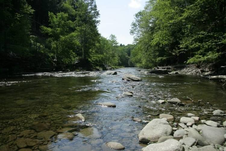 Beaver Kill About real estate in Lew Beach in the Beaverkill Valley