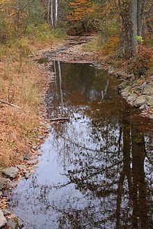 Beaver Run (Bowman Creek) httpsuploadwikimediaorgwikipediacommonsthu