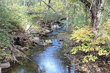 Beaver Run (Catawissa Creek) httpsuploadwikimediaorgwikipediacommonsthu