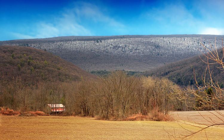 Beaver Township, Columbia County, Pennsylvania