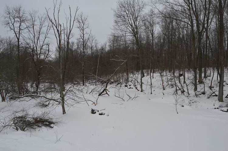 Beaver Township, Crawford County, Pennsylvania