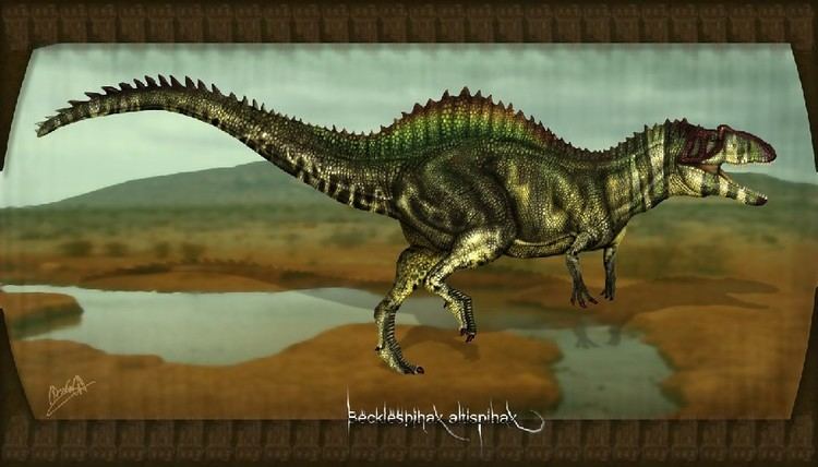 Becklespinax Becklespinax Pictures amp Facts The Dinosaur Database