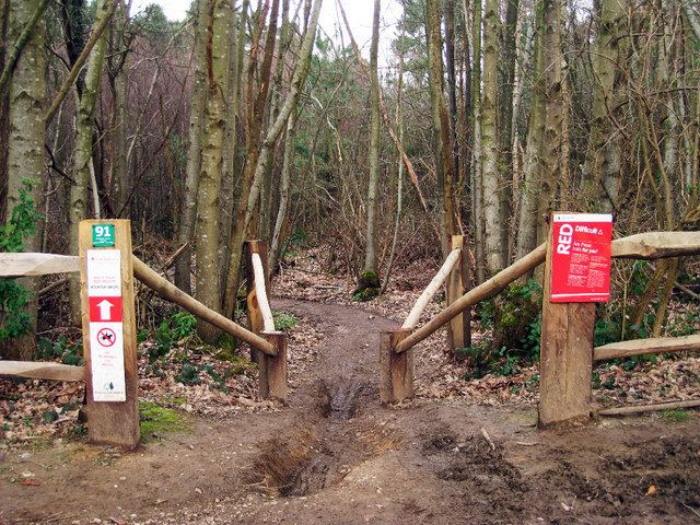 Bedgebury Forest Bow Saw Bedgebury Forest Korsork Shopping amp Articles