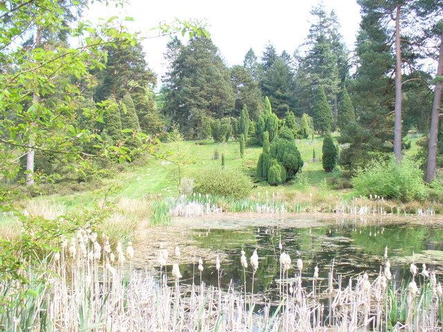 Bedgebury National Pinetum