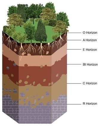 Bedrock terminology Horizon letter for bedrock Earth Science Stack Exchange