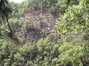 Bee Cliff (Tennessee) httpsuploadwikimediaorgwikipediacommonsthu