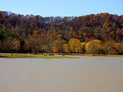 Beech Fork Lake httpsuploadwikimediaorgwikipediacommonsthu
