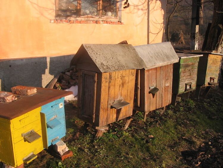 Beekeeping in Ukraine