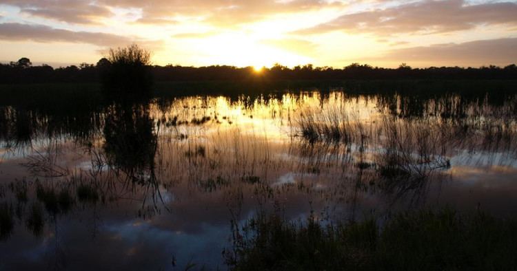Beeliar Wetlands Save Beeliar Wetlands and support our legal fund Indiegogo