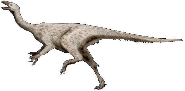 Beishanlong Beishanlong Pictures amp Facts The Dinosaur Database