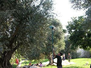 Beit HaEmek - Alchetron, The Free Social Encyclopedia