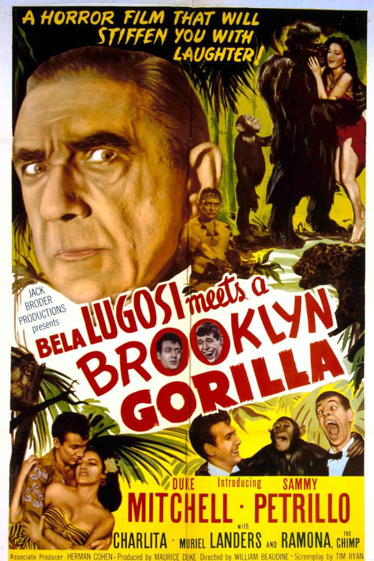 Bela Lugosi Meets a Brooklyn Gorilla wwwgstaticcomtvthumbmovieposters41809p41809