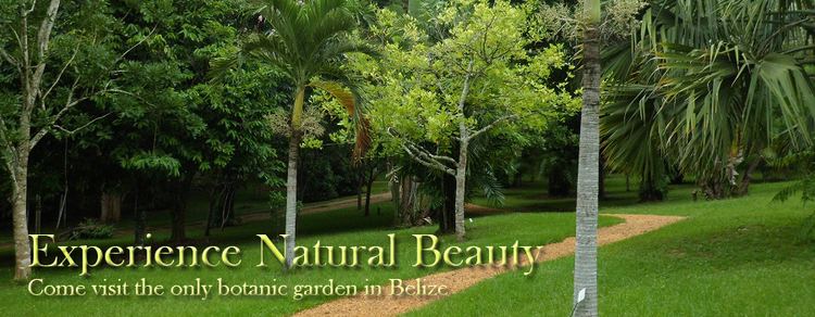 Belize Botanic Gardens Welcome Belize Botanic GardensBelize Botanic Gardens