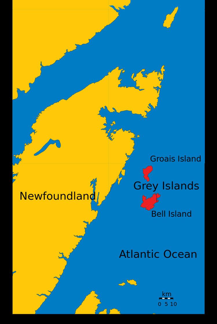 Bell Island (Grey Islands)