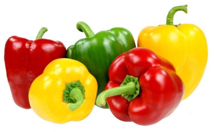 Bell pepper Can Dogs Eat Bell Peppers Red Green or Yellow Animalso