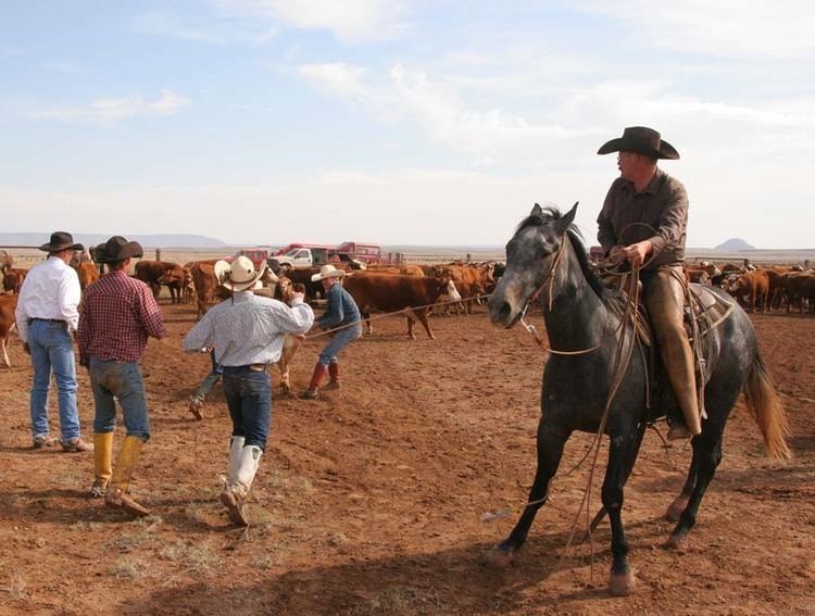 Bell Ranch (New Mexico) Rene Heil Ranch Photographer Bell Ranch New Mexico