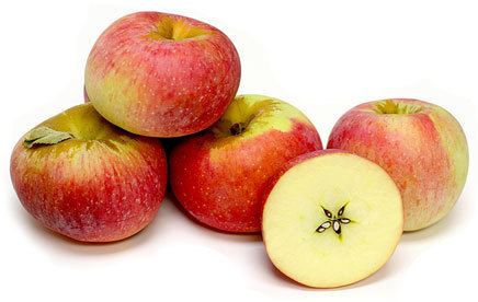 Belle de Boskoop Belle de Boskoop Apple Review Fruit Maven