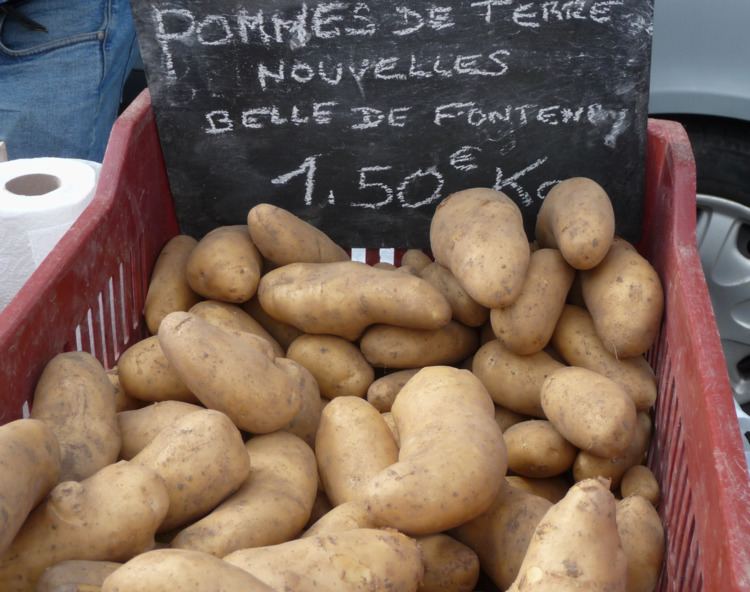 Belle de Fontenay FileBelle de Fontenay pommes de terrepng Wikimedia Commons