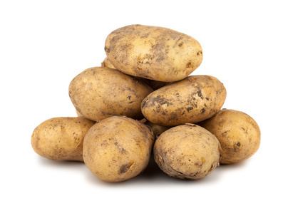 Belle de Fontenay POMME DE TERRE BELLE DE FONTENAY Semences bio Pommes de terre bio