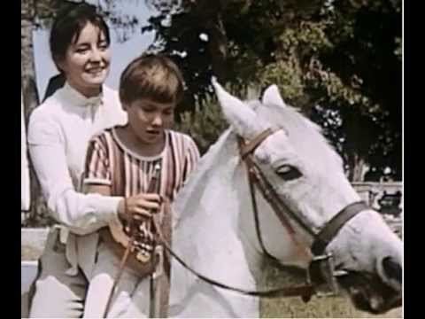 Belle, Sebastian and the Horses httpsiytimgcomvil0WEFqBRQUchqdefaultjpg
