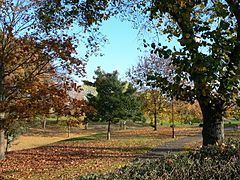 Bellevue Park, Wrexham httpsuploadwikimediaorgwikipediacommonsthu