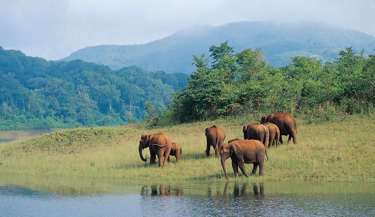 Bellikkal Visit Bellikkal and tourist places near Bellikkal for your next